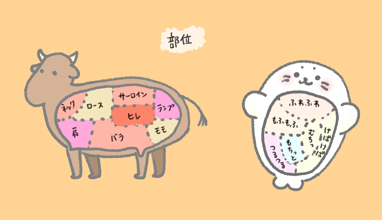 A5ランクしろたん