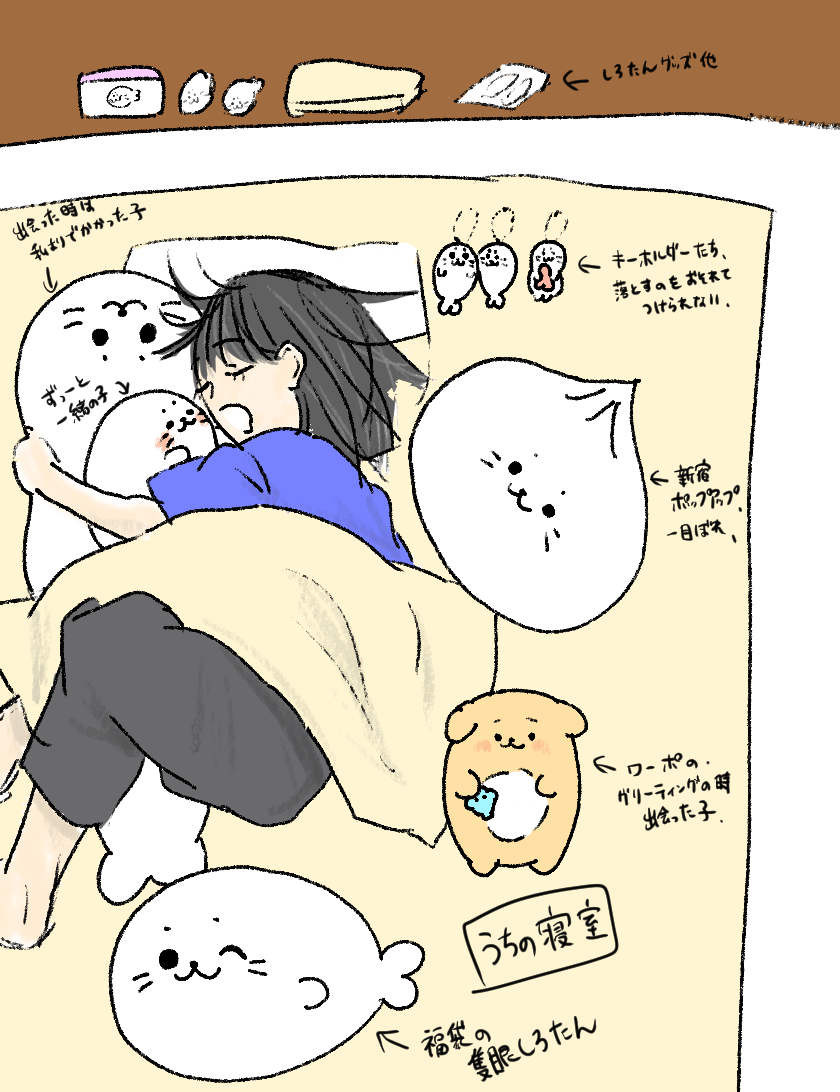 しろたん結界